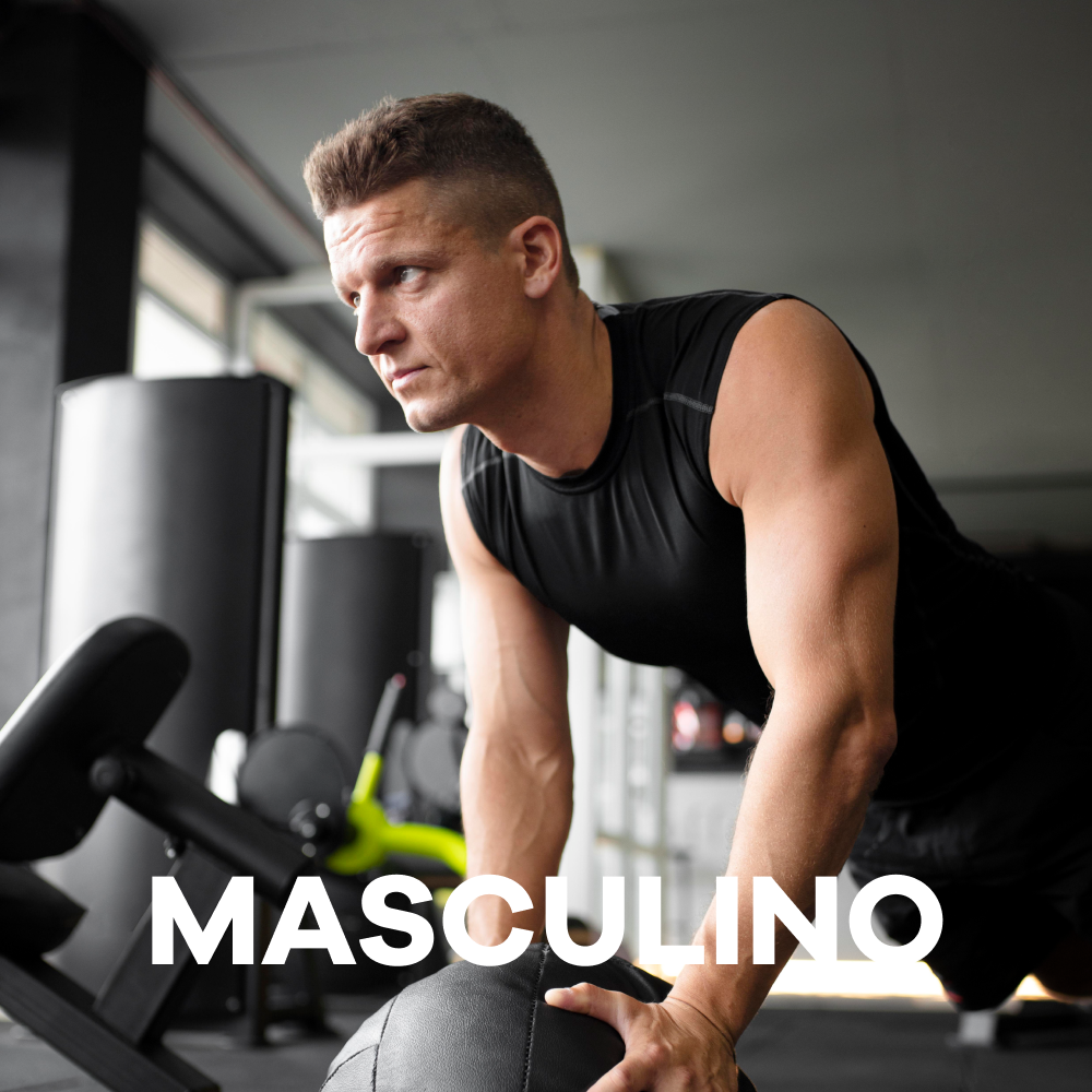 Masculino